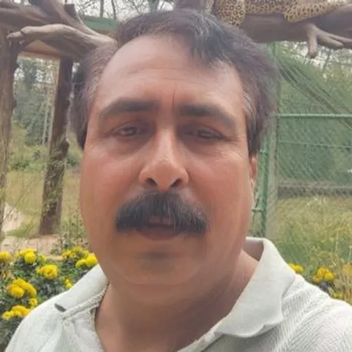 पीवीयूएनएल में स्थानीय युवाओं को रोजगार देने की मांग, एक नवंबर को ...