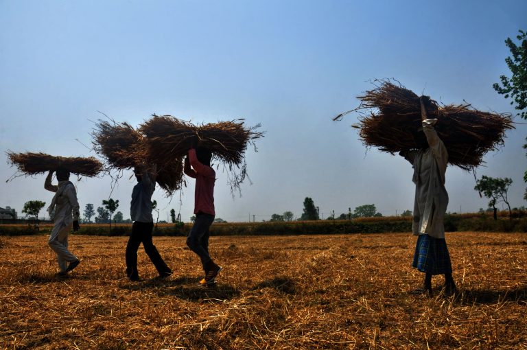 PM Kisan Updates: प्रधानमंत्री किसान सम्मान निधि को लेकर ये है ताजा अपडेट, पीएम मोदी ने किया ट्वीट