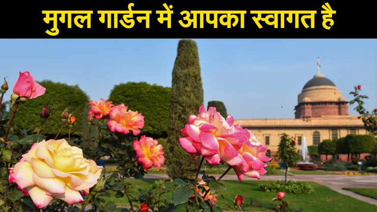 Mugal Garden Open: इस वेलेंटाइन करें मुगल गार्डन का दीदार, दिल को छू लेंगे रंगबिरंगे फूल, देखिए टिकट, टाइमिंग और कोरोना गाइडलाइंस