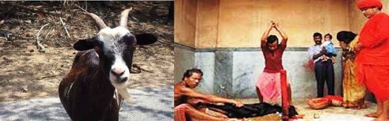ऐसी दिवाली कभी सुनी है आपने?