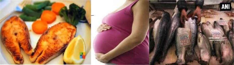 बच्चे के तेज़ दिमाग के लिए ‘गर्भवती महिलाएं खाएं मछली’