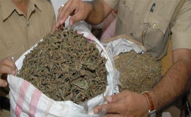 बिहार के बेतिया में पकड़ी गई तीन करोड़ की चरस, भारत-नेपाल सीमा के पास से तीन तस्कर गिरफ्तार बिहार के बेतिया में पकड़ी गई तीन करोड़ की चरस, भारत-नेपाल सीमा के पास से तीन तस्कर गिरफ्तार
