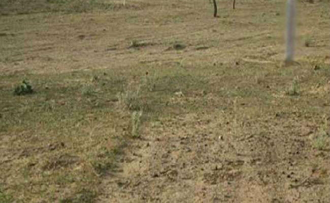 Bihar Crime News: गैरमजरूआ जमीन पर पलानी डालने को लेकर दो पक्षों में हुई मारपीट, महिला की मौत