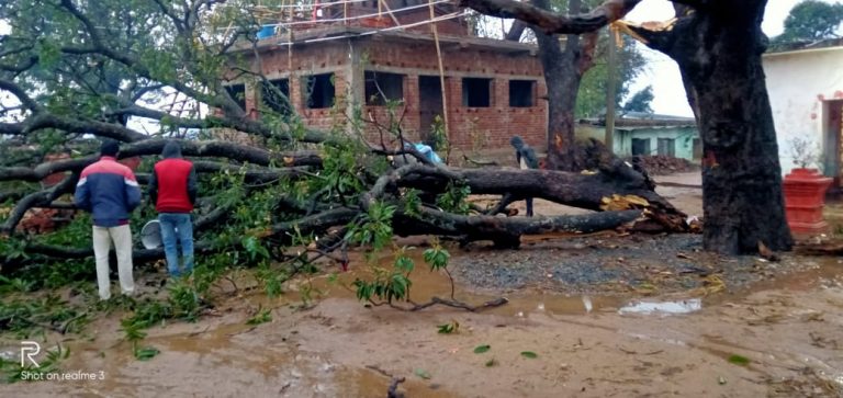 Weather Forecast Live Update: दिल्‍ली NCR में झमाझम बारिश, दिन में छाया अंधेरा, जानें अपने इलाके का हाल