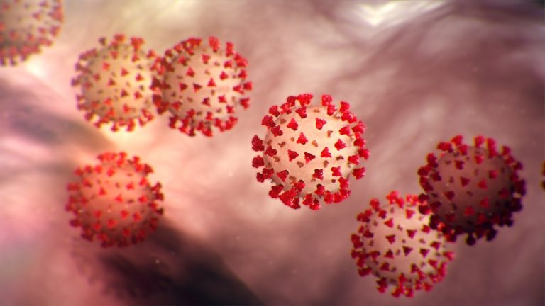 Coronavirus : इटली का ” वो ” शहर जो पूरी दुनिया के लिए बन सकता है मिसाल