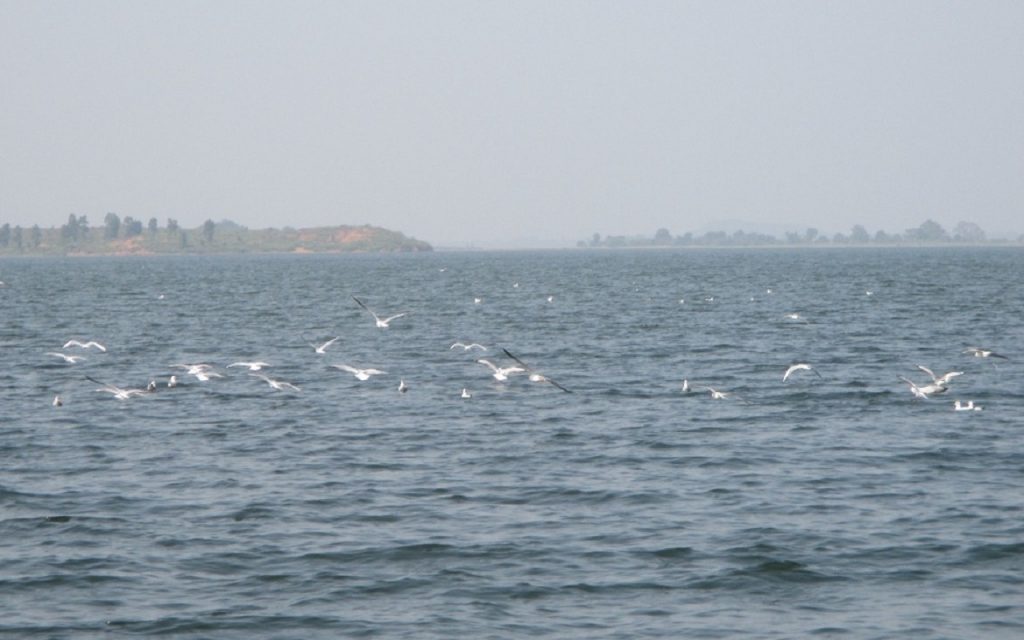 an image