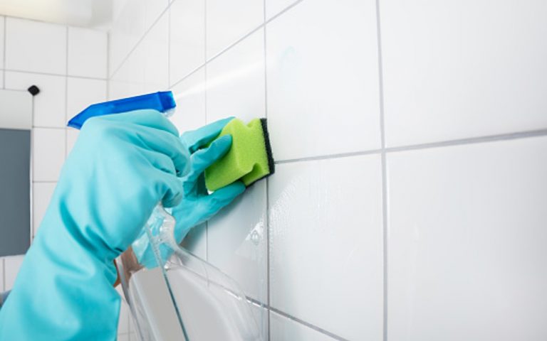 How to Keep Tiles Clean: टाइल्स को साफ करने के लिए न करें इन चीजों का इस्तेमाल