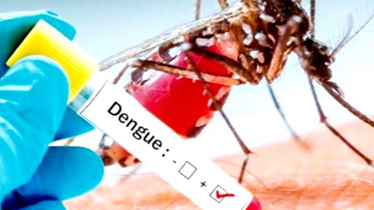 Dengue In Patna: पटना में डेंगू की दस्तक, एक साथ छह पॉजिटिव मरीजों की पुष्टि, जारी होगा अलर्ट