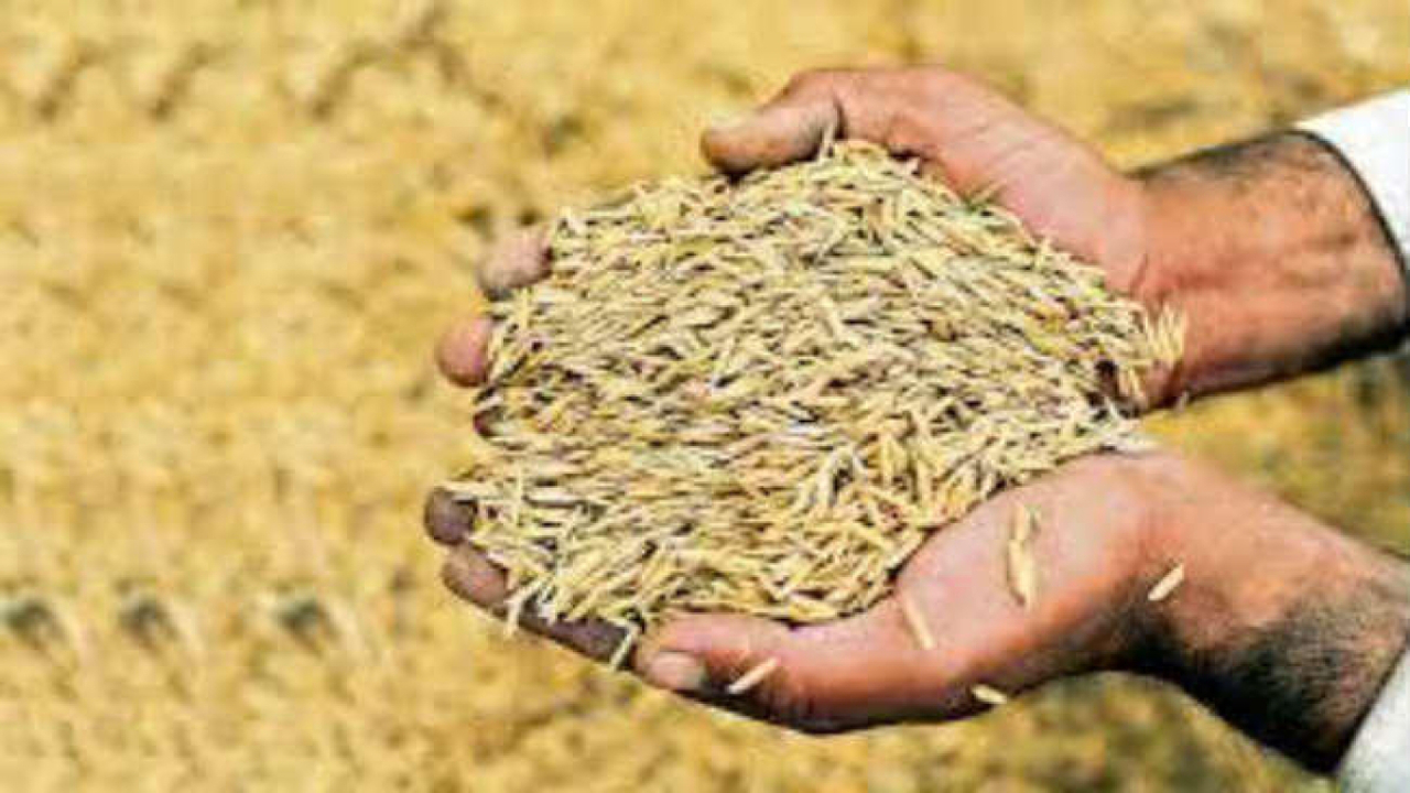 Paddy Purchase Last Date Extend