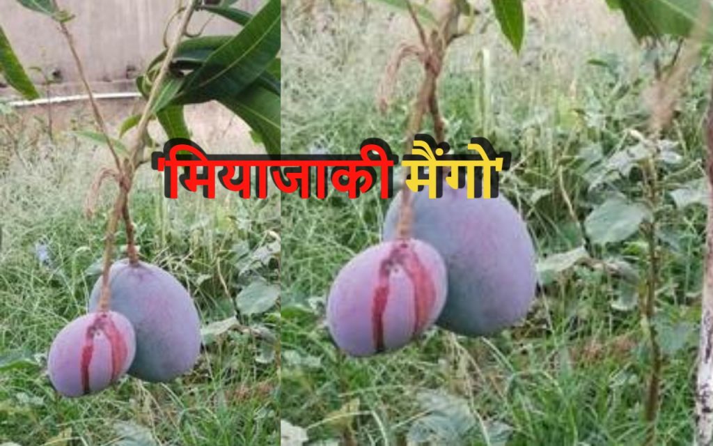 an image