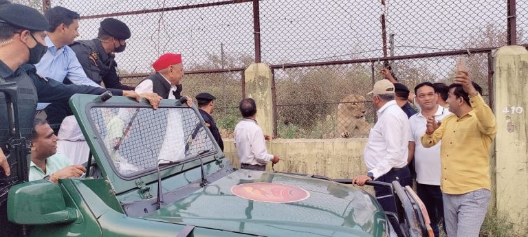 इटावा की लॉयन सफारी में आखिर ऐसा क्या है जिसे देख खिलखिला पड़े सपा संरक्षक मुलायम सिंह यादव…