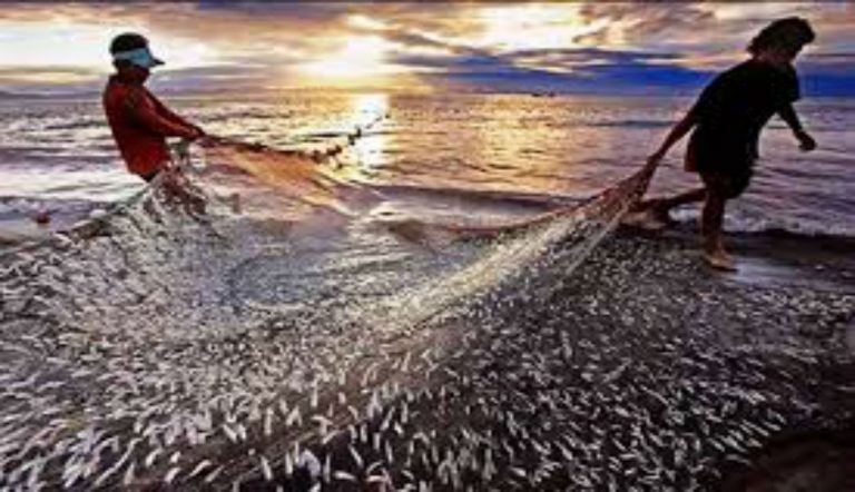 Fisheries: मत्स्य पालन को बढ़ावा देने के लिए शुरू होगा प्रधानमंत्री मत्स्य किसान समृद्धि सह-योजना