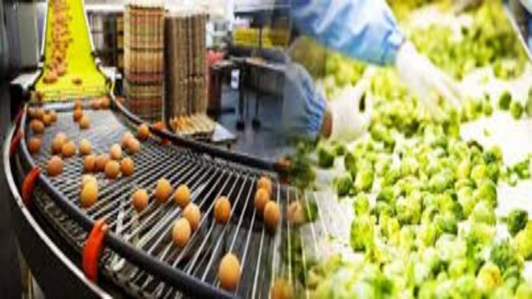 Food Processing: खाद्य प्रसंस्करण में इनोवेशन पर दो दिन विशेषज्ञ करेंगे मंथन