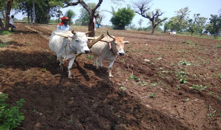बढ़ता कृषि निर्यात
