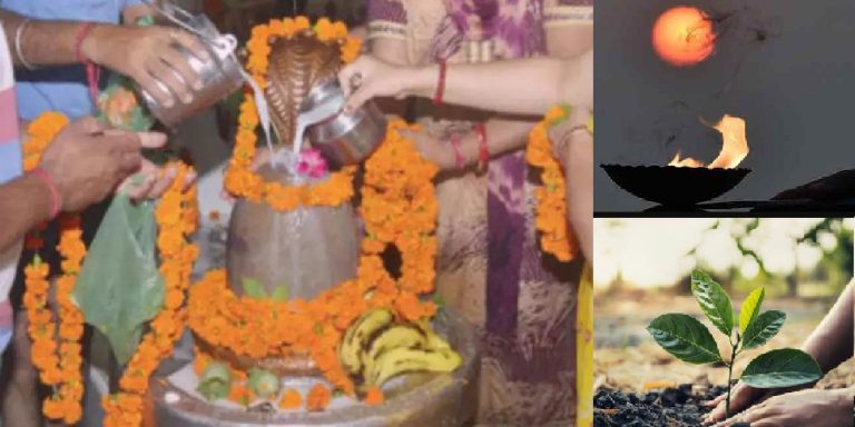 Hariyali Amavasya 2022: हरियाली अमावस्या कब है? जानें सही तारीख, पूजा विधि, उपाय और इस दिन का महत्व