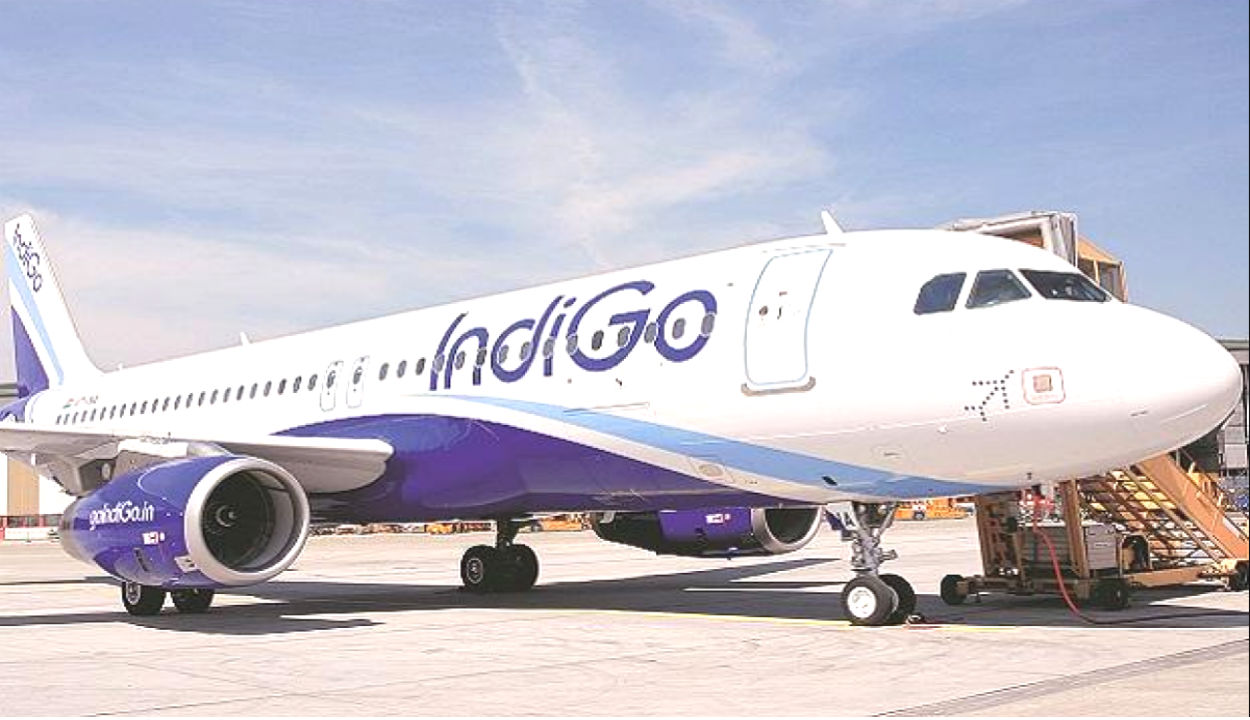IndiGo