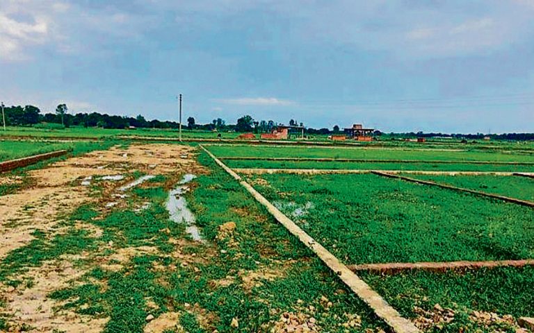 Jharkhand News: सरकारी जमीन की खरीद-बिक्री रोकने की पहल शुरू, प्रतिबंधित सूची में शामिल होगी खास महाल की भूमि