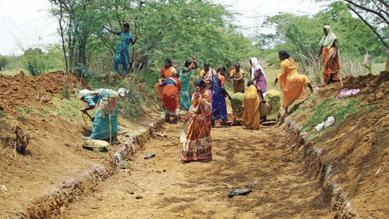 गिरिडीह : दो माह से मनरेगा मजदूरों का नहीं मिली मजदूरी, बढ़ी परेशानी