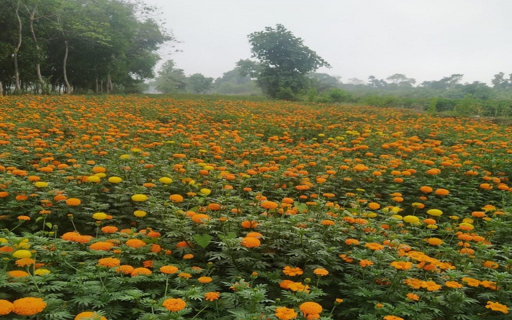 an image
