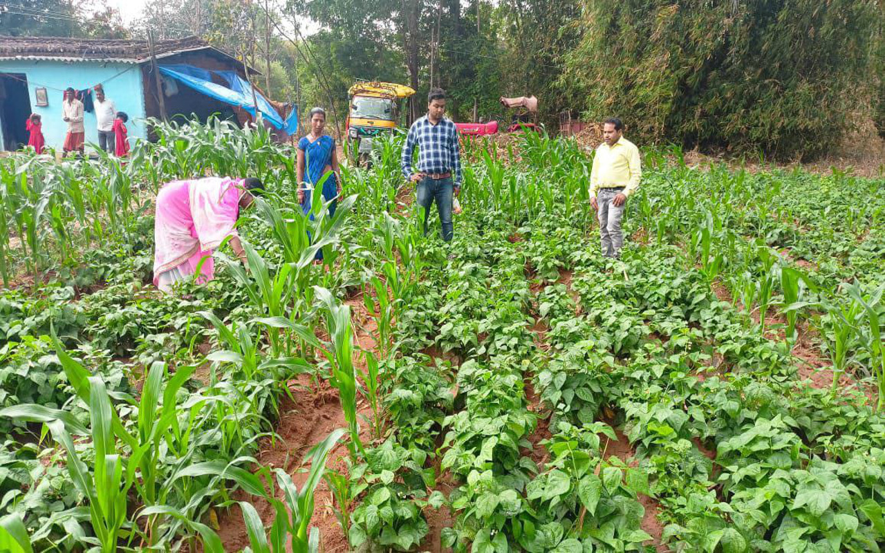 career in Organic-farming
