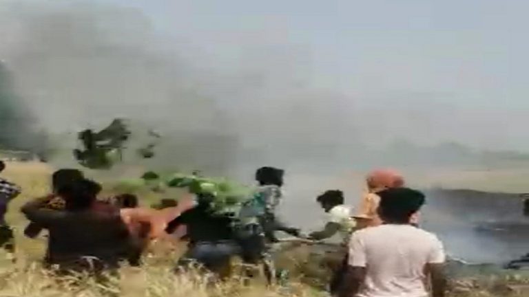 Jharkhand News: खेत में लगी आग, 13 बीघा में गेहूं की लगी फसल देखते ही देखते जलकर हो गयी खाक