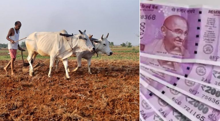 PM Kisan Yojana: यूपी में वेरिफिकेशन के नाम पर लाखों लाभार्थियों का नाम कटा? CS ने लिखा सभी DM को पत्र