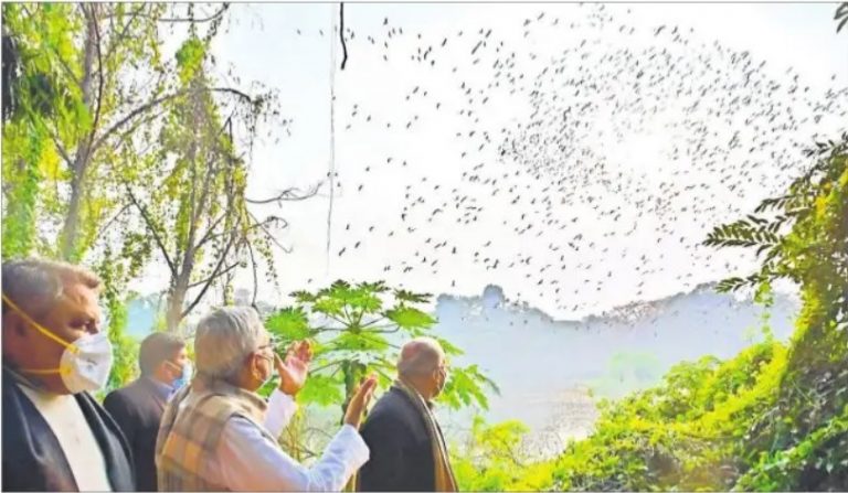 सीएम नीतीश कुमार की दो टूक, जदयू को लेकर किया जा रहा किसी भी तरह का दावा बेबुनियाद