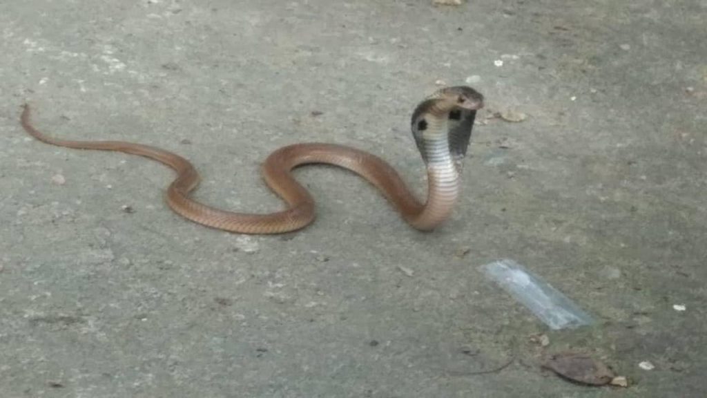 an image