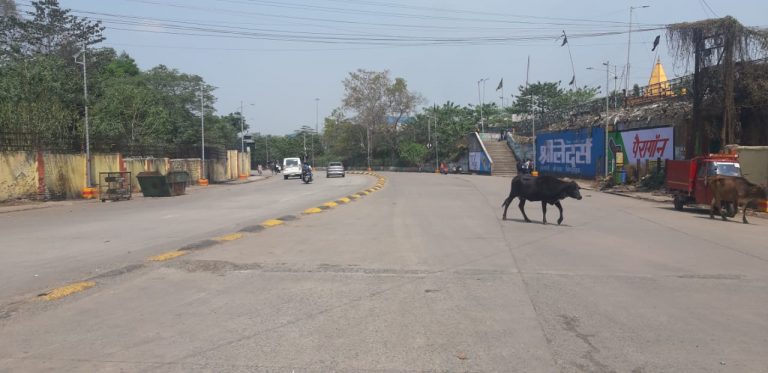 Janata Curfew Jharkhand LIVE : पीएम मोदी के ‘जनता कर्फ्यू’ को झारखंड में मिल रहा पूरा समर्थन, सड़कों पर सन्नाटा पसरा