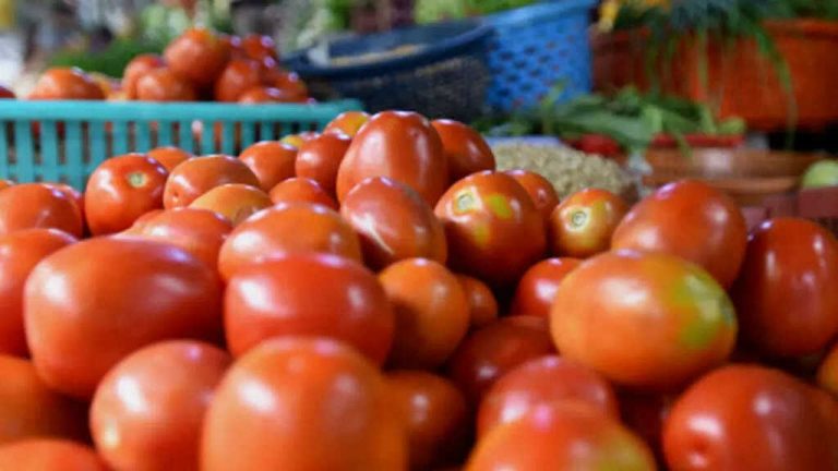 Tomato Price : ‘अबकी बार 300 पार’, दिल्ली में टमाटर की कीमत में लगी आग