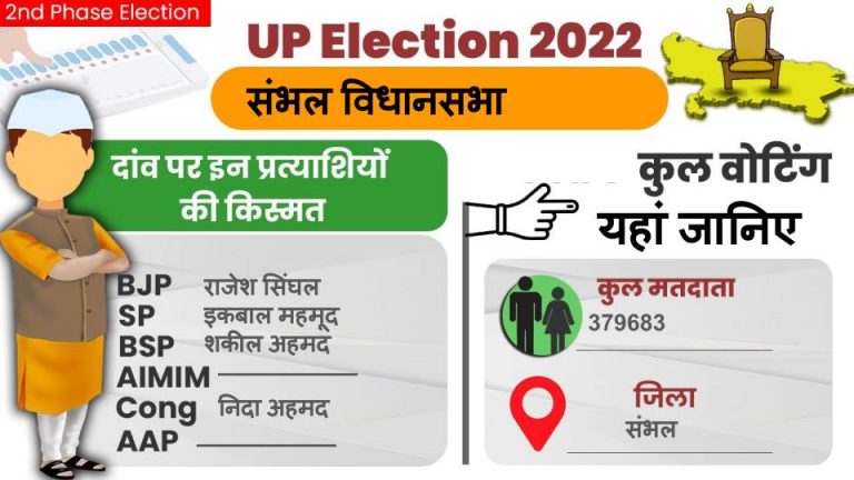 Sambhal Assembly Chunav: संभल विधानसभा चुनाव में पड़े कितने फीसदी मतदान? जानें हर अपडेट