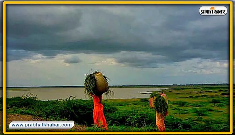 Weather Forecast :  केरल पहुंचा मानसून, जानें आपके राज्य में कब देगा दस्तक