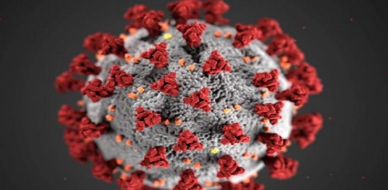Coronavirus in Bihar : म्यूटेंट से नहीं घबराएं, जानिये कैसे अपना स्वरूप बदलते-बदलते खत्म हो जायेगा कोरोना