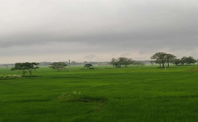 PM Kisan Yojana 11th Installment Date: कहीं लटक ना जाए पीएम किसान की 11वीं किस्‍त, जल्दी चेक करें स्‍टेटस