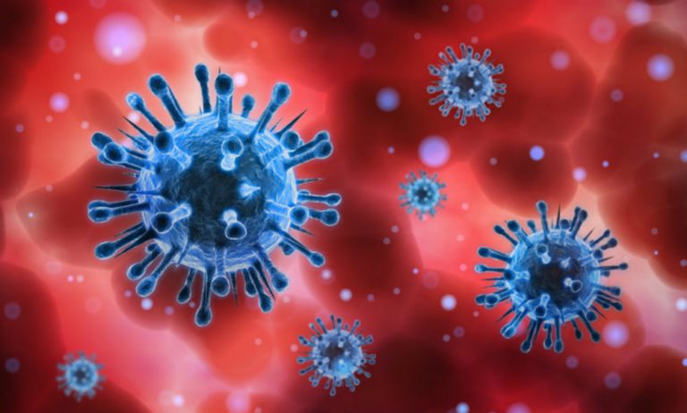 Jharkhand Coronavirus Update : हर दिन तेजी से बढ़ रहा है कोरोना से मरने वालों की संख्या, राज्य में 1 दिन में सर्वाधिक में 29 की मौत, 2844 नये संक्रमित