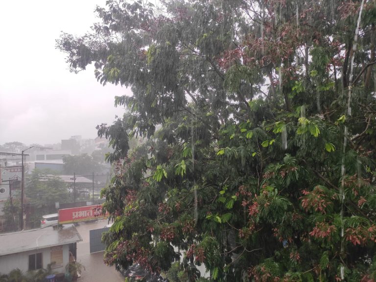Bihar Weather: बारिश पर IMD का अपडेट, हीटवेव के बीच बिहार में मॉनसून की हुई एंट्री