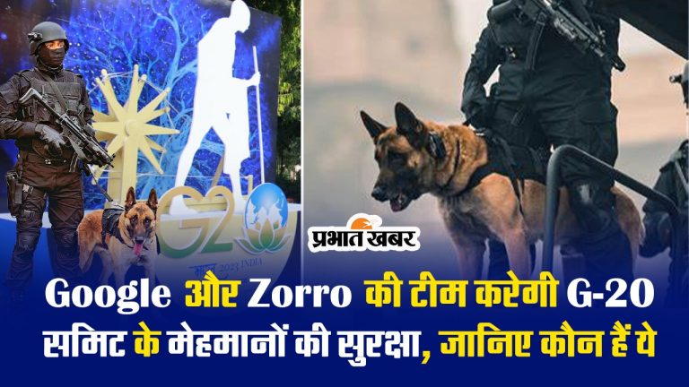 G-20 Summit के मेहमानों की सुरक्षा में मुस्तैद है Google और Zorro की टीम, इनका काम देख हैरान रह जाएंगे आप