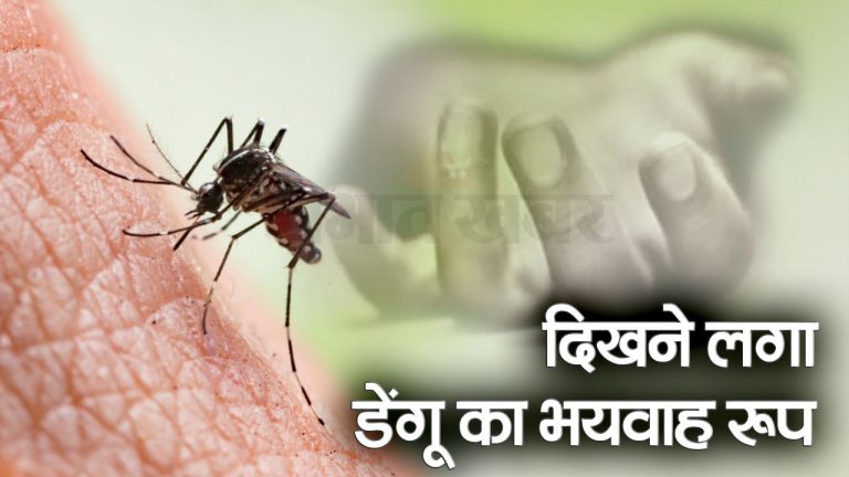 बिहार में डेंगू का प्रकोप, आरा में एक की मौत, राज्य में संक्रमितों की संख्या 3500 के करीब पहुंची