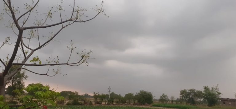 Jharkhand Weather Forecast : तेज धूप से लोगों को मिलेगी राहत, मौसम विभाग ने की भविष्यवाणी, इस तारीख को होगी बारिश
