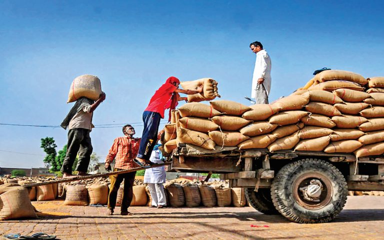 भारत में बनेगा विश्व का सबसे बड़ा अनाज भंडार