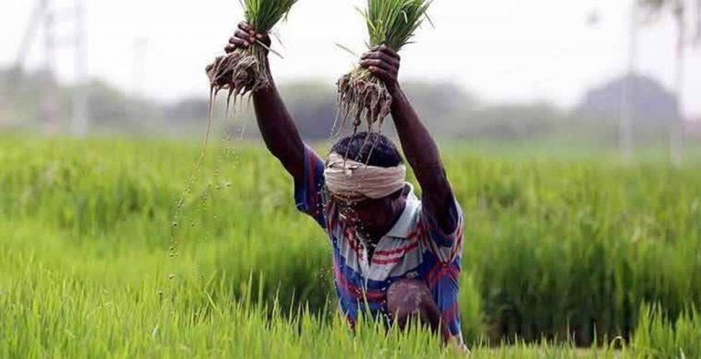बजट में कृषि क्षेत्र के विकास के लिए अतिरिक्त धन और प्रोत्साहन देने की जरूरत, विशेषज्ञों ने सरकार को दिया सुझाव