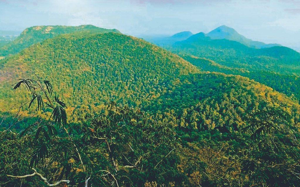 an image
