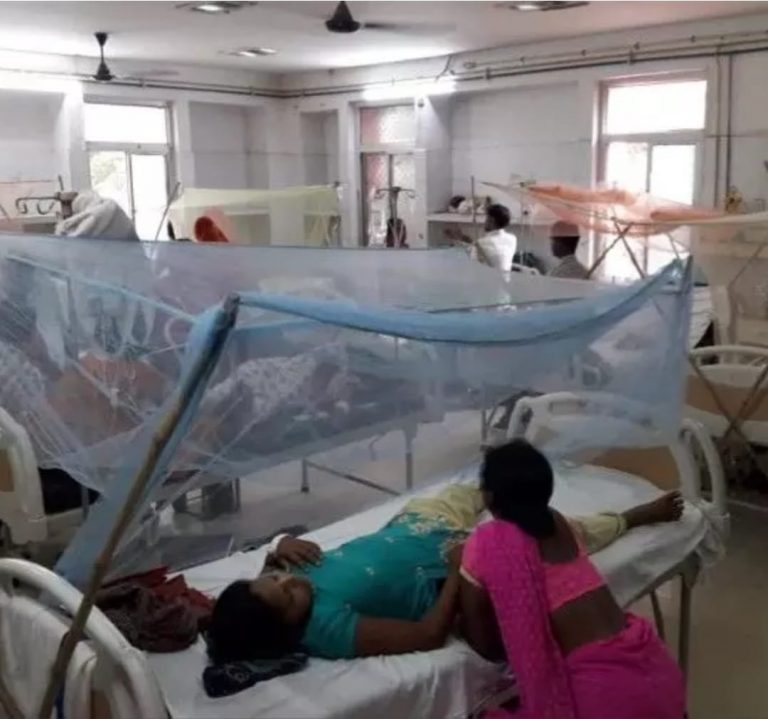 पटना में मिले 35 नये डेंगू मरीज, बढ़ी प्लेटलेट्स की मांग, रोजाना 65 यूनिट एसडीपी पहुंची खपत