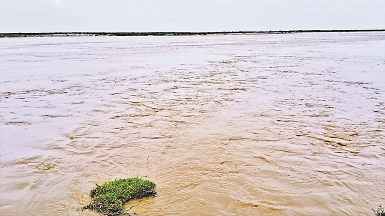 Bihar Flood: वाल्मीकिनगर बराज के सभी फाटक खोले गए, दर्जन भर नदियों में उफान से मंडराया बाढ़ का खतरा