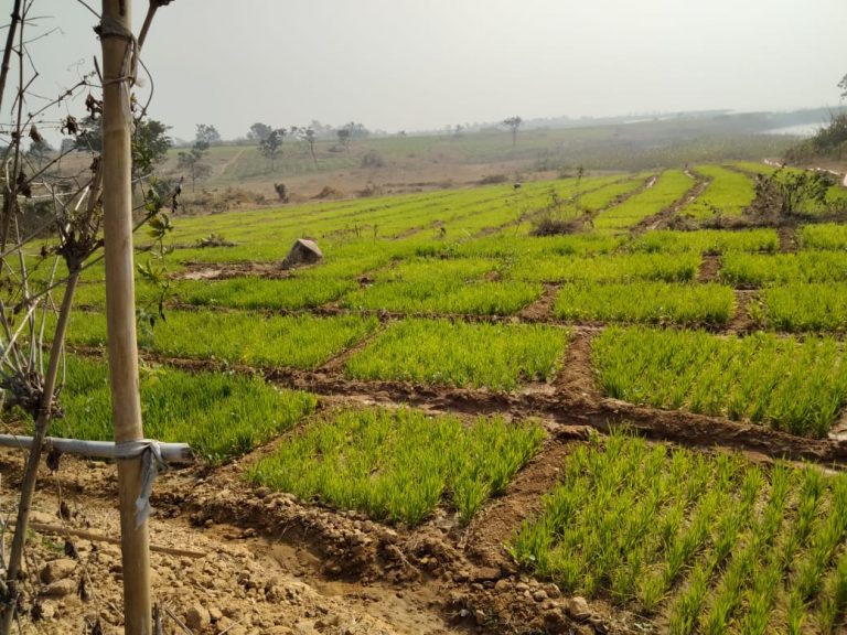 Farmer Loan Waiver In Jharkhand : रांची के 50 हजार किसानों की ऋण माफी जल्द, उपायुक्त ने बैंकों को दिया ये निर्देश