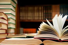 hindi best novels