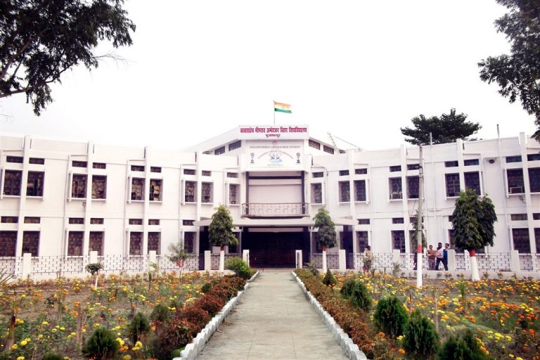 टीडीसी पास छात्र भी कर सकेंगे चौथे वर्ष की पढ़ाई, मिलेगी ऑनर्स और रिसर्च डिग्री