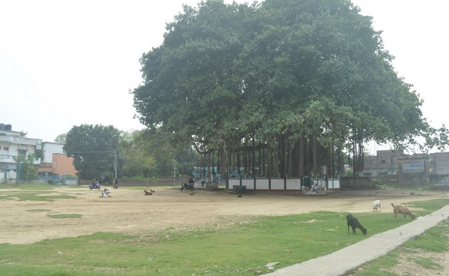 लॉकडाउन/सोशल डिस्टेंसिंग के बीच मना ईद, घरों में अदा किये शुकराना नमाज