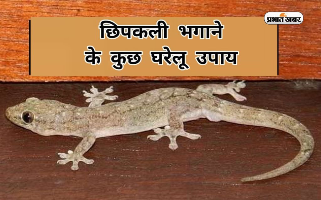 an image