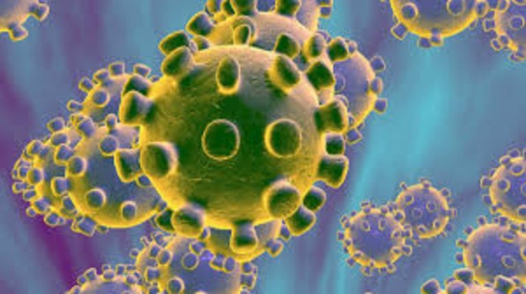 Corona Virus: झारखंड में बढ़ने लगे कोरोना के मामले, इतने मिले एक्टिव केस
